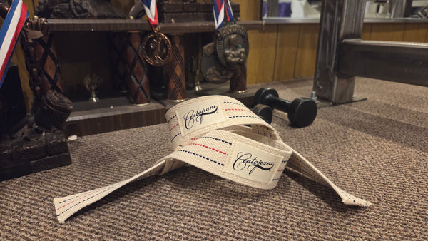 Centopani Lifting Straps